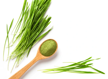 Barley Grass